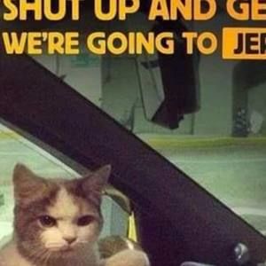 Meet your Posher, Patty